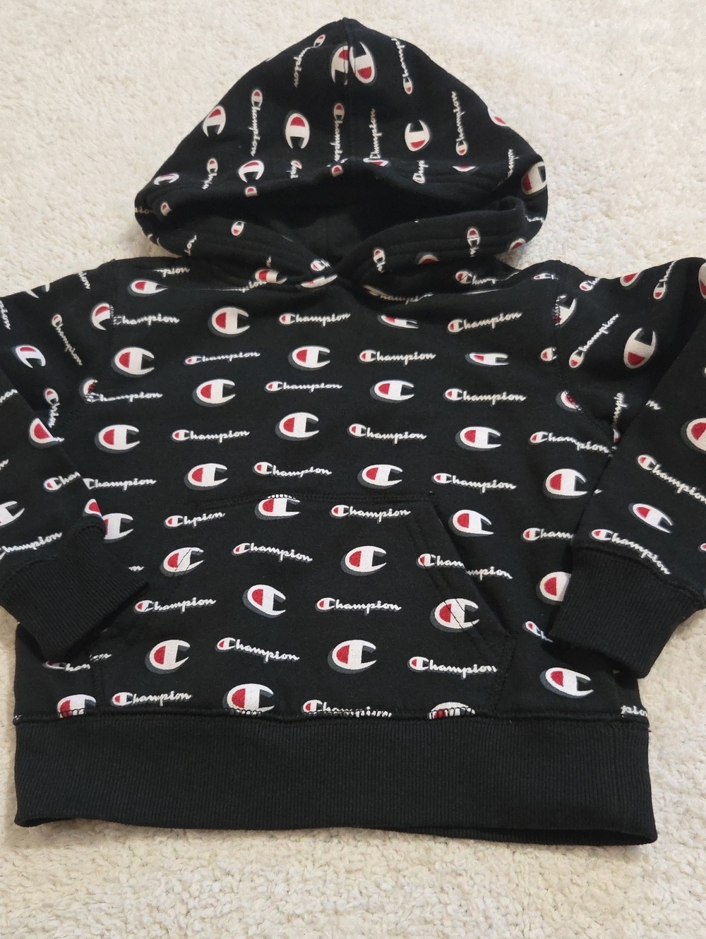 CHAMPION ACTIVEWEAR HOODUE SWEATSHIRT